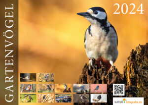 Naturfotografie.de - Kalender - Natur für Zuhause