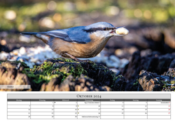 Naturfotografie.de - Kalender - Natur für Zuhause