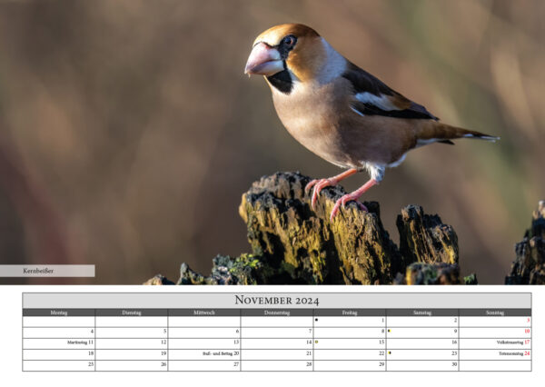 Naturfotografie.de - Kalender - Natur für Zuhause