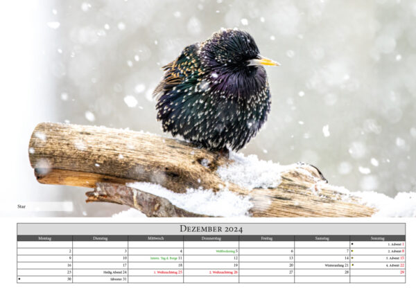 Naturfotografie.de - Kalender - Natur für Zuhause