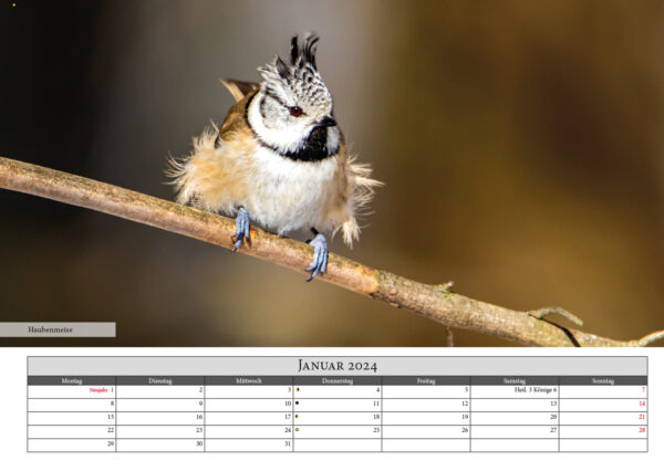 Naturfotografie.de - Kalender - Natur für Zuhause