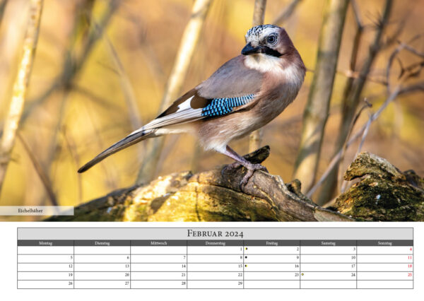 Naturfotografie.de - Kalender - Natur für Zuhause