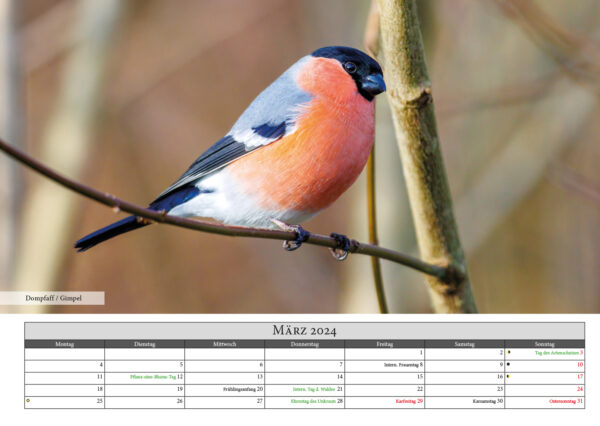 Naturfotografie.de - Kalender - Natur für Zuhause