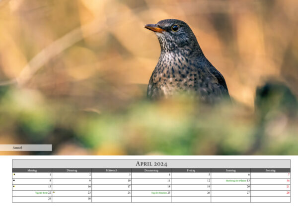 Naturfotografie.de - Kalender - Natur für Zuhause