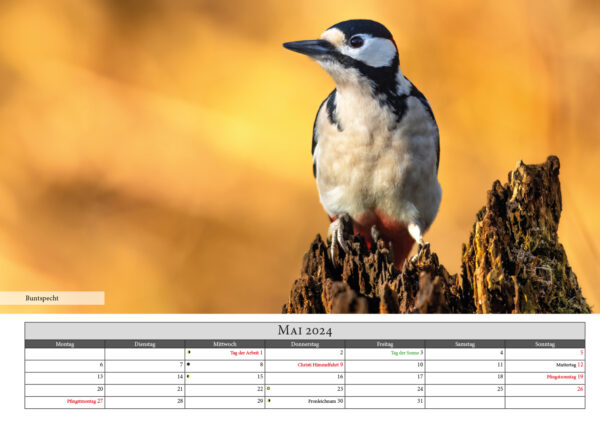 Naturfotografie.de - Kalender - Natur für Zuhause