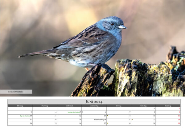 Naturfotografie.de - Kalender - Natur für Zuhause