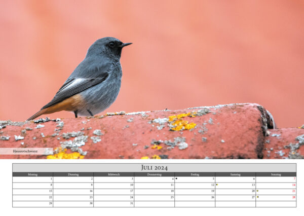 Naturfotografie.de - Kalender - Natur für Zuhause